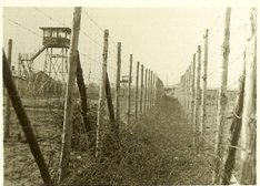prison photo